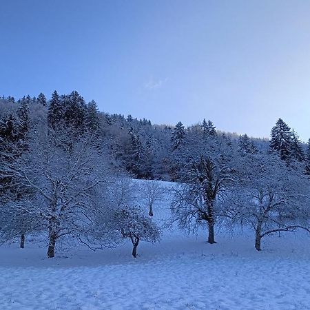 Gite Coeur De Haute-Savoie Viuz-en-Sallaz Buitenkant foto