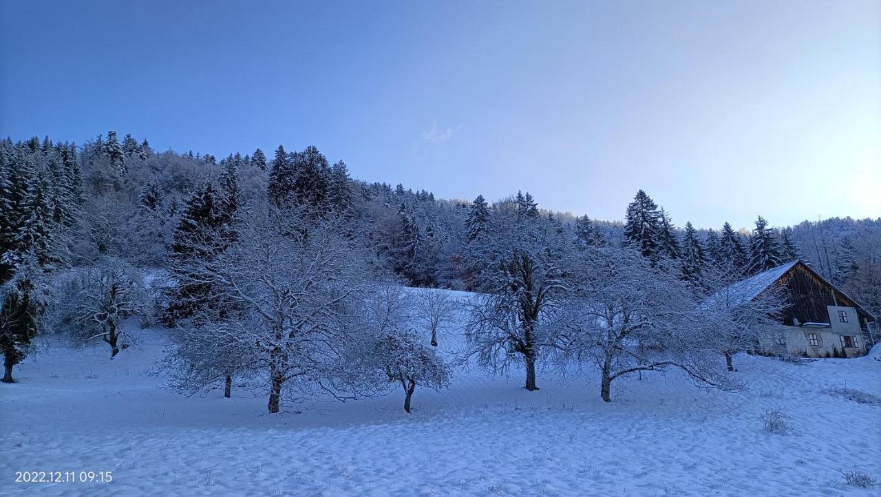 Gite Coeur De Haute-Savoie Viuz-en-Sallaz Buitenkant foto