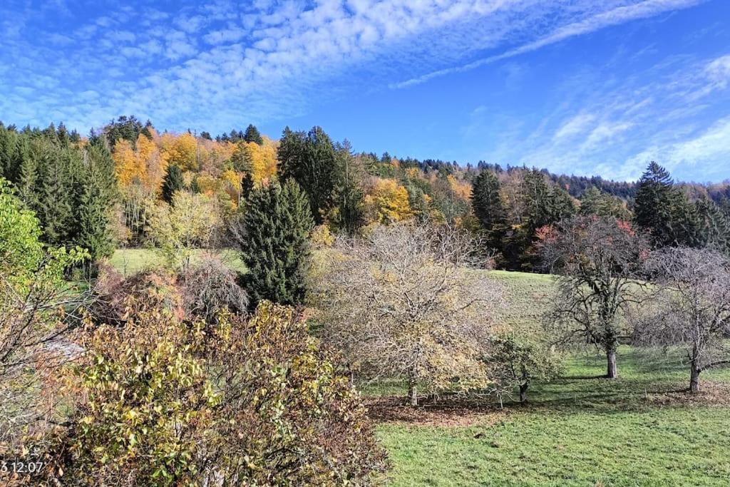 Gite Coeur De Haute-Savoie Viuz-en-Sallaz Buitenkant foto